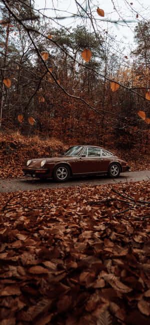 Árboles Otoñales Estilo Vintage con Coche — Vivo X300 Pro Fondos de pantalla