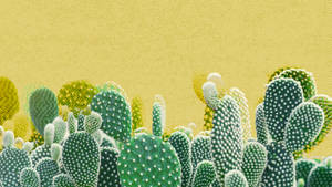Estética Western Limpia con Cactus — Amarillo aesthetic Fondos de pantalla