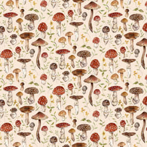 Estético Vintage Lindo Hongo Beige — Estética de hongos Fondos de pantalla