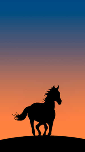 Fotos de caballos lindos — Caballo lindo Fondos de pantalla