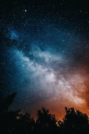 Estrella y Árboles de Alta Resolución — Estrellas Fondos de pantalla