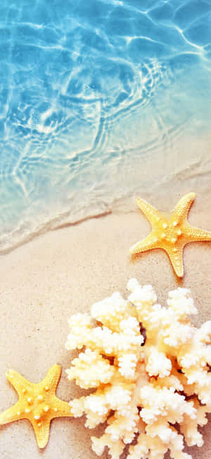 Fondo de Verano iPhone X — Nubia Focus 2 Fondos de pantalla