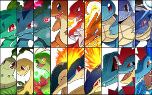 Imágenes de la evolución de Bulbasaur, Charmander y Squirtle.
