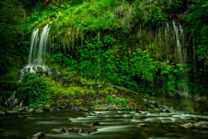 Fondo de Naturaleza Verde — MacBook Air M3 Fondos de pantalla