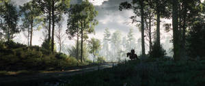Fondo de pantalla ultra ancho con visuales del bosque de The Witcher 3. — 3440x1440 Fondos de pantalla