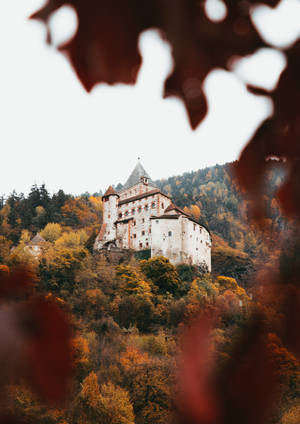 Fondo de pantalla de vista previa castillo, arquitectura, colina, bosque — OnePlus Pad 2 Pro Fondos de pantalla