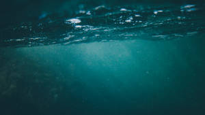 Fondo de pantalla de fotografía submarina — Pro Display XDR Fondos de pantalla