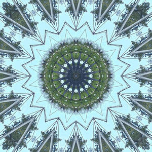 Trippy Estético