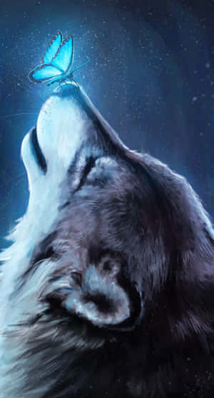 Fondo de Lobo Galaxia — Galaxia lobo Fondos de pantalla