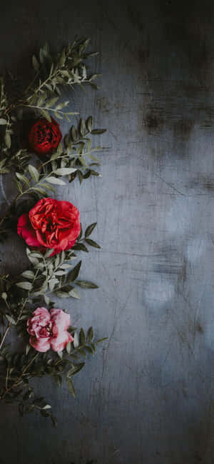 Fondo de Rosas — iPhone Xr Fondos de pantalla