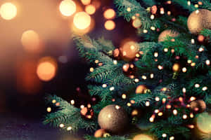 Fondo de pantalla de Navidad para escritorio — Navidad escritorio Fondos de pantalla