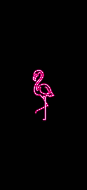 Fondo de pantalla Flamenco Estético Rosa Neón