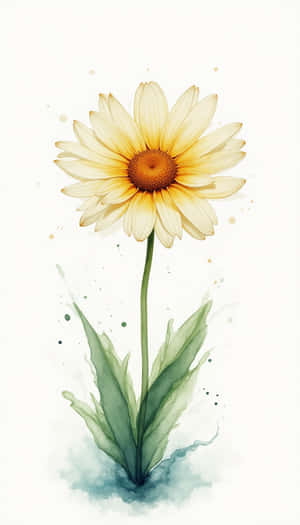 belleza, floral, flor, frescura, flora, natural, primavera, fresco, primer plano, liso, foto, planta — Primavera Fondos de pantalla
