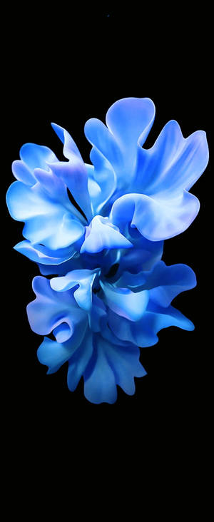 Flor Azul Cristalina para Samsung S20 FE — Samsung Galaxy S20 Fondos de pantalla