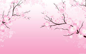 Fondo de Pantalla de Flor de Cerezo 2D