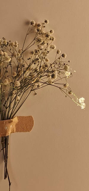 Fondo de pantalla de flor delicada estética beige