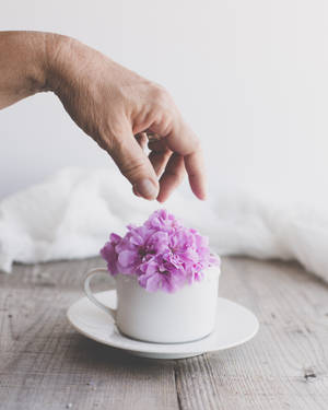 Fondo de pantalla de una elegante flor morada sobre una taza blanca en una fina mesa de madera.