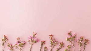 Flor pequeña estética rosa dorado