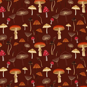 Flora de Hongo Vintage y Lindo — Champiñón lindo Fondos de pantalla