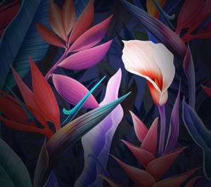 Fondo de pantalla Floral Huawei Mate 10 Pro — Huawei Fondos de pantalla