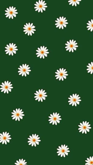 Flores Blancas sobre Fondo Verde Oscuro — Verde oscuro Fondos de pantalla