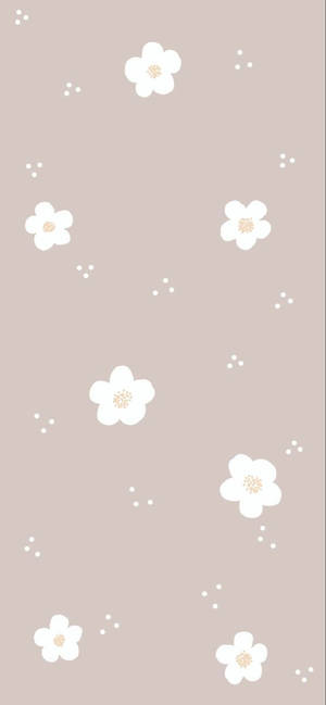 Flores Blancas Simples y Tiernas Sin Tallo — Estético lindo GIF Fondos de pantalla