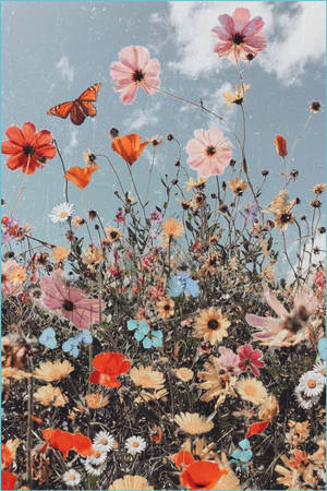 Flores Boho Estéticas y el Cielo