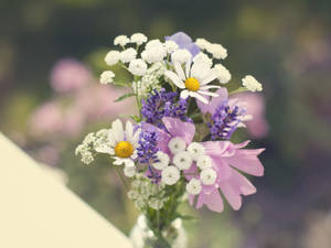 El lenguaje del violeta intenso y blanco
