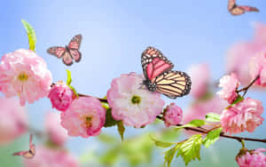 flores rosadas con mariposas sobre ellas