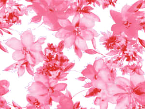 Floral rosa