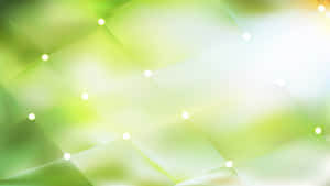 Fondo verde claro — Verde claro aesthetic Fondos de pantalla