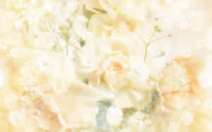 Fondo Amarillo Pastel — Aesthetic amarillo pastel Fondos de pantalla