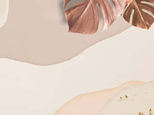fondo beige estético — Beige estético Fondos de pantalla