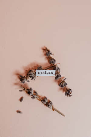 Fondo beige estético — Vivo Pad Fondos de pantalla
