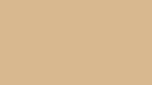 Fondo Beige Liso