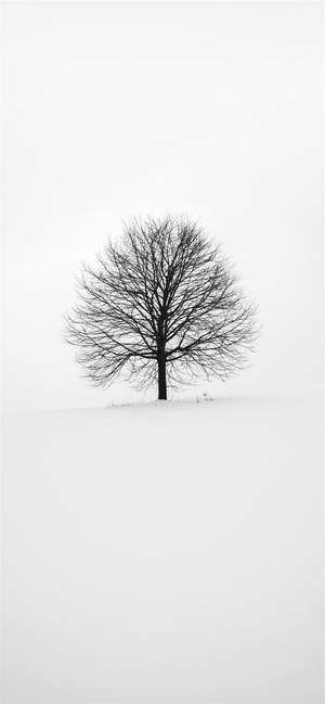 iPhone Blanco Árbol Sin Hojas — Galaxy S25 FE Fondos de pantalla