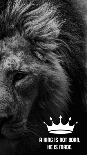 León, Fondo de león, Fondo 420, Rey, Fondo de rey, Fondo para frases, Fondo 2018, Fondo valiente, Imágenes valientes
