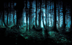 Fondo de Bosque Azul — Bosque oscuro Fondos de pantalla