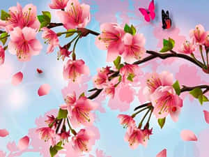 Fondo de Cerezo en Flor — Flor de cerezo Fondos de pantalla