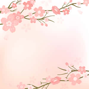 Fondo de Cerezo en Flor — Flor de cerezo Fondos de pantalla