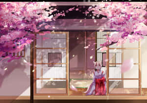 Fondo de Cerezo en Flor — Flor de cerezo Fondos de pantalla