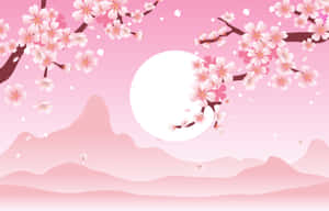 Fondo de Cerezo en Flor — Flor de cerezo Fondos de pantalla