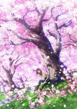 Fondo Anime de Cerezos en Flor — iPad Air 11 Fondos de pantalla