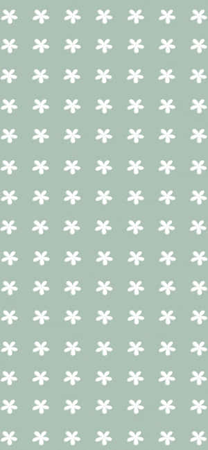 Fondo de estética verde — iPhone 14 Pro Fondos de pantalla