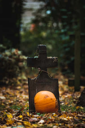 Fondo de Halloween de alta resolución — Halloween iPhone Fondos de pantalla