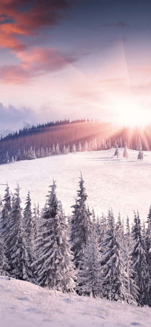 Fondo de Invierno para iPhone XS Max — Oppo Find X Fondos de pantalla