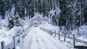 Fondo de Invierno