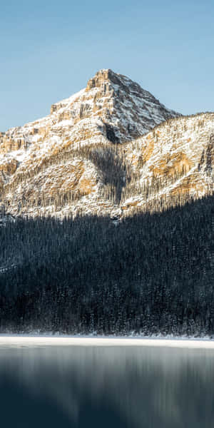 Fondo de Invierno Pixel 3 — Estética invernal Fondos de pantalla