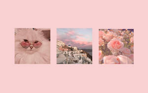 Fondo de pantalla rosa delicado estilo Pinterest para laptop