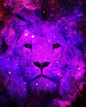 Fondo de León Galáctico — Galaxia león GIF Fondos de pantalla